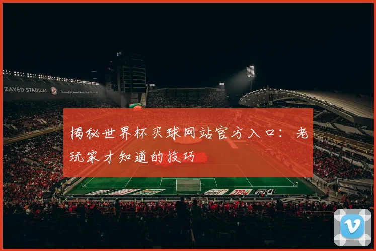 揭秘世界杯买球网站官方入口：老玩家才知道的技巧