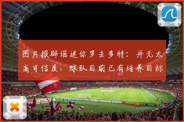 图片报辟谣迷你罗去多特：并无太高可信度，球队目前已有培养目标